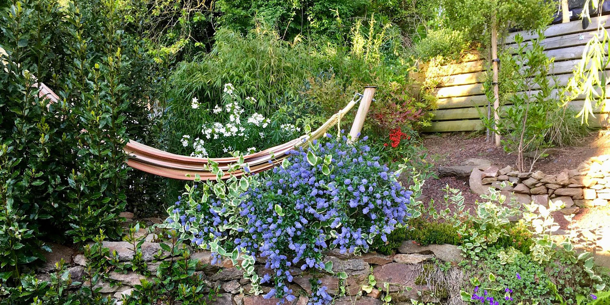 Création de parterres et pose de paillis