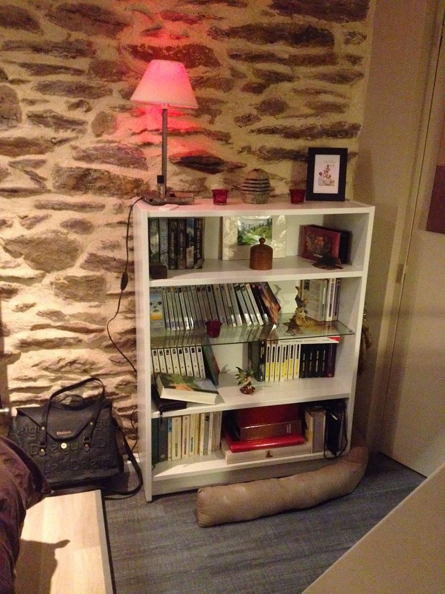 Réalisation des joints à la chaux sur un mur en pierres dans un appartement locatif