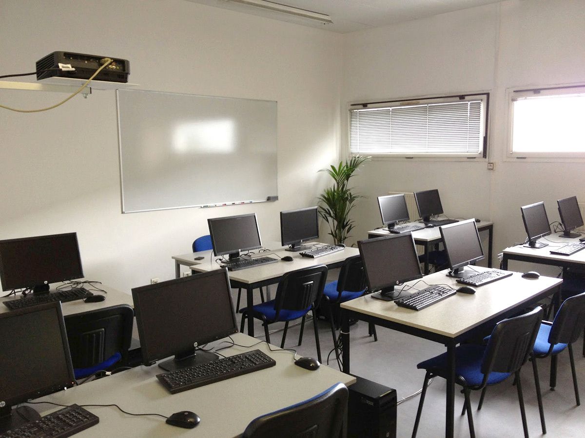Rénovation d'une salle de formation : murs et plafond