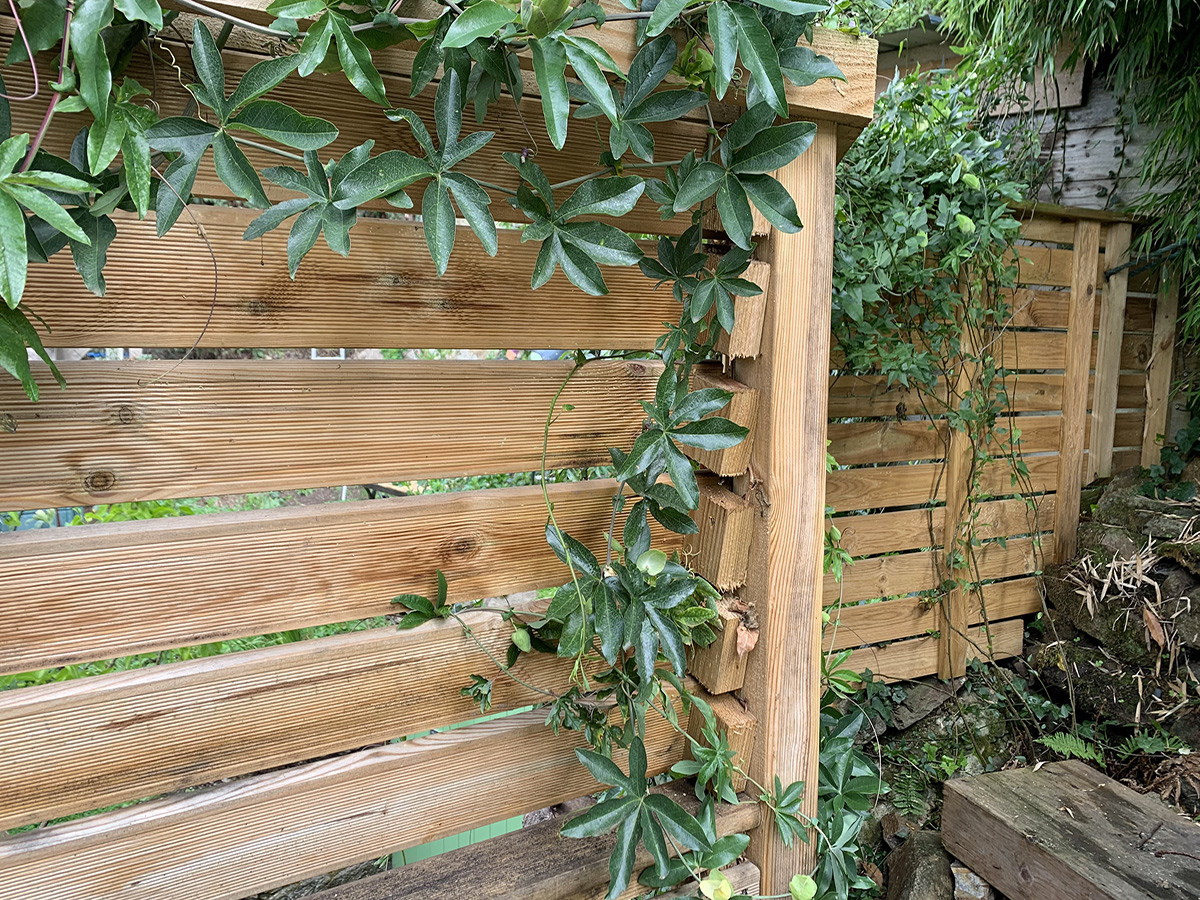 Palissade bois suivant le relief du terrain