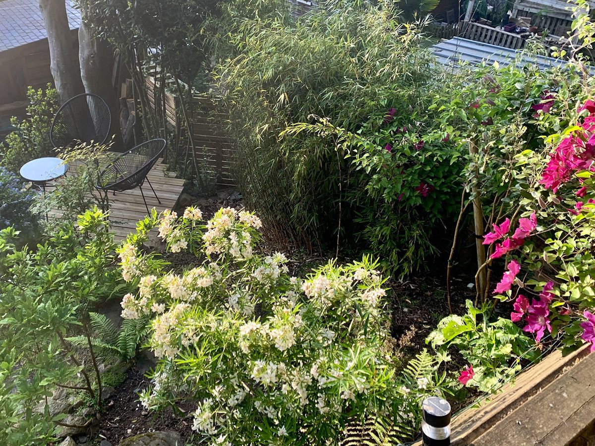 Aménagement paysager : vue du haut du jardin