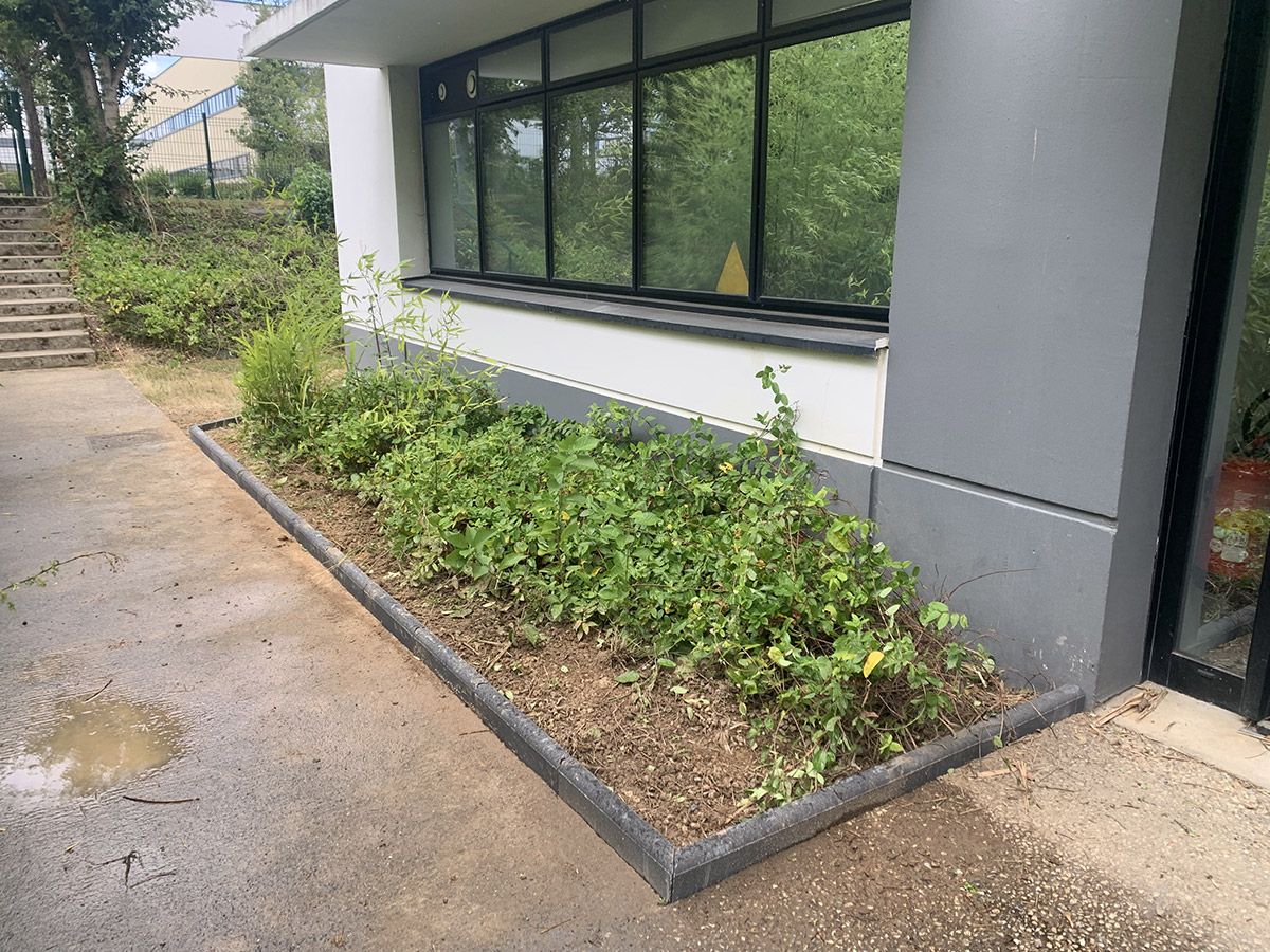 Pose de bordures de jardin pour délimiter un parterre